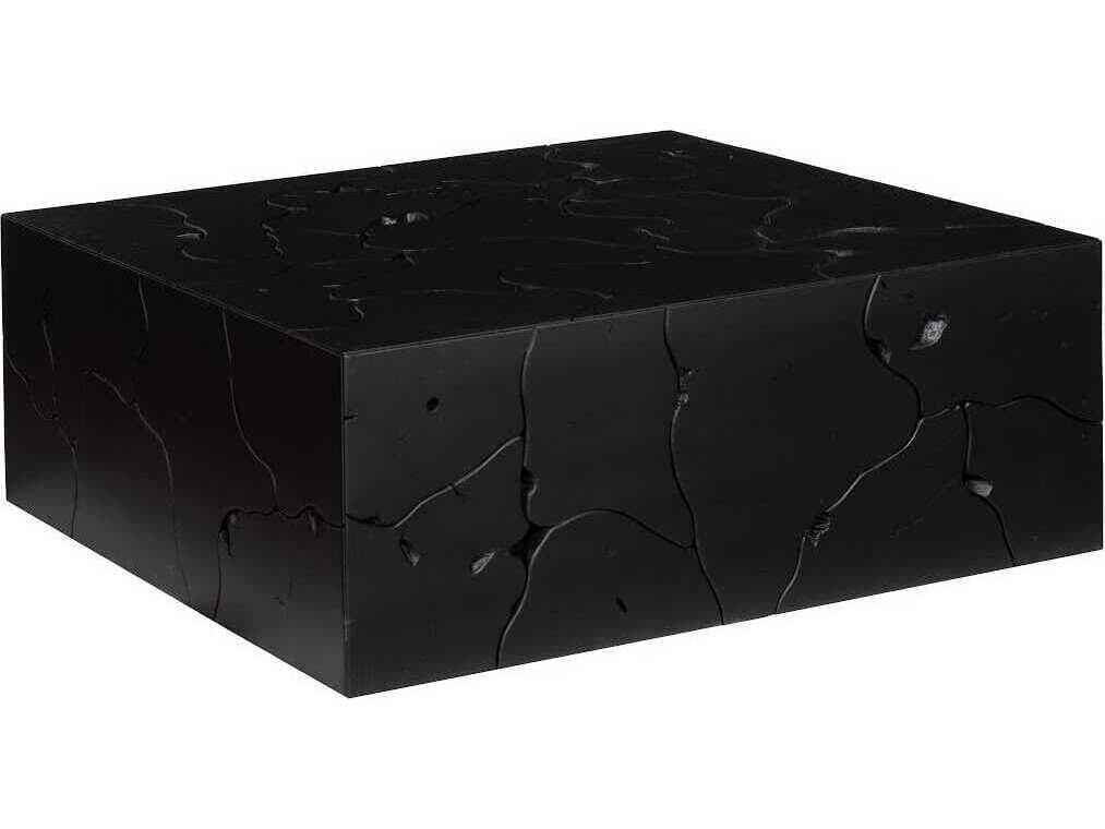 Phillips Collection Teak Slice Square Wood Black Coffee Table