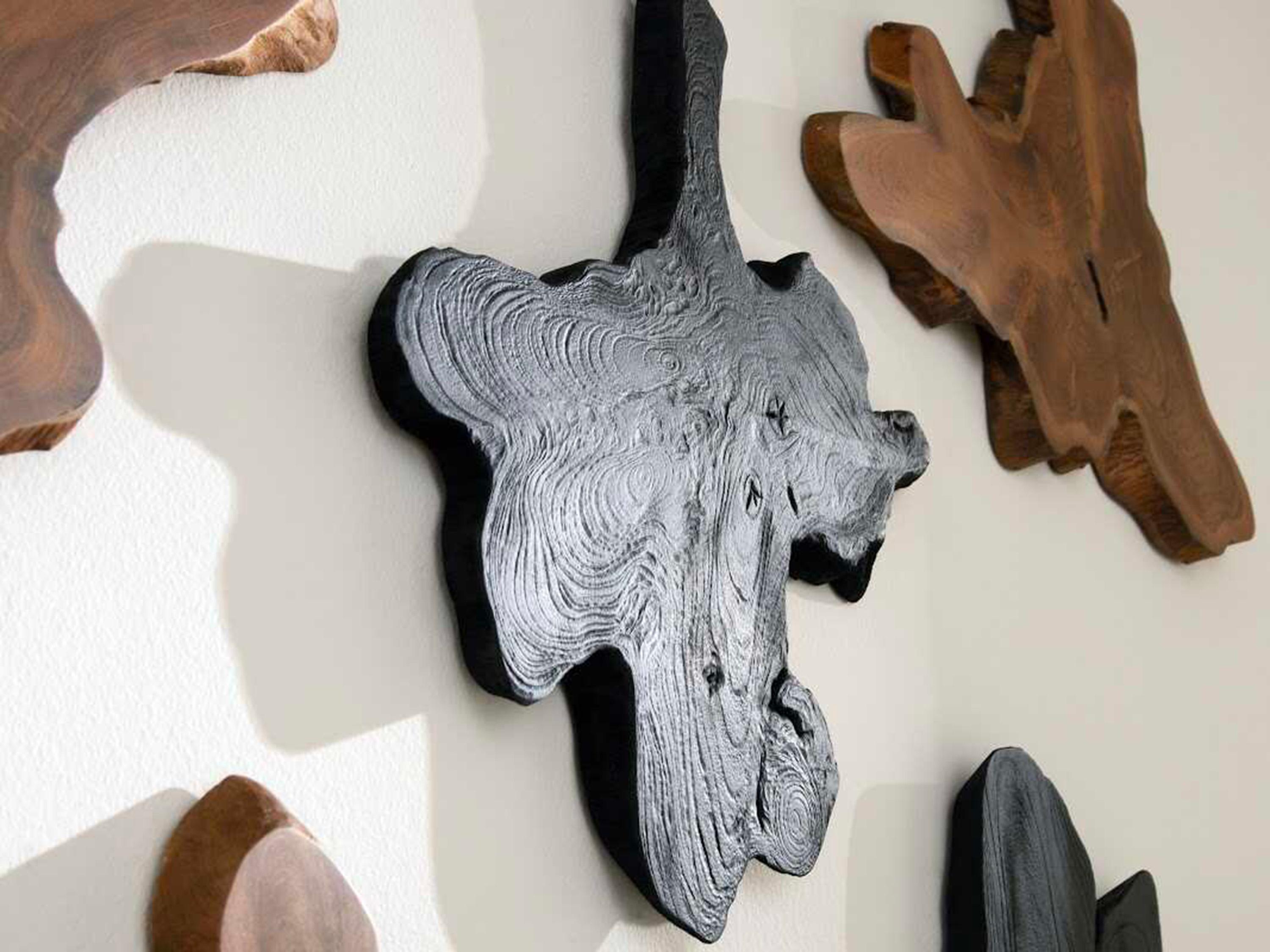 Phillips Collection Freeform Black Teak Wall Slice