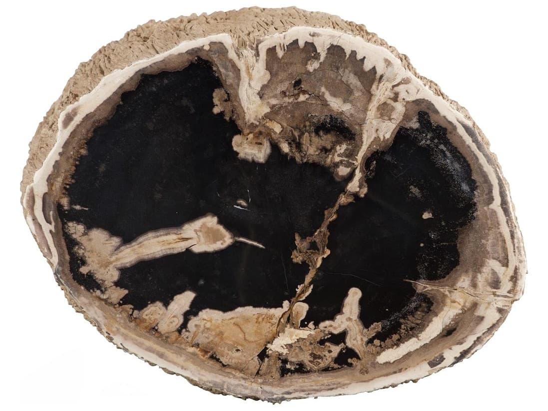 Phillips Collection Beige Black Brown Accent Stool