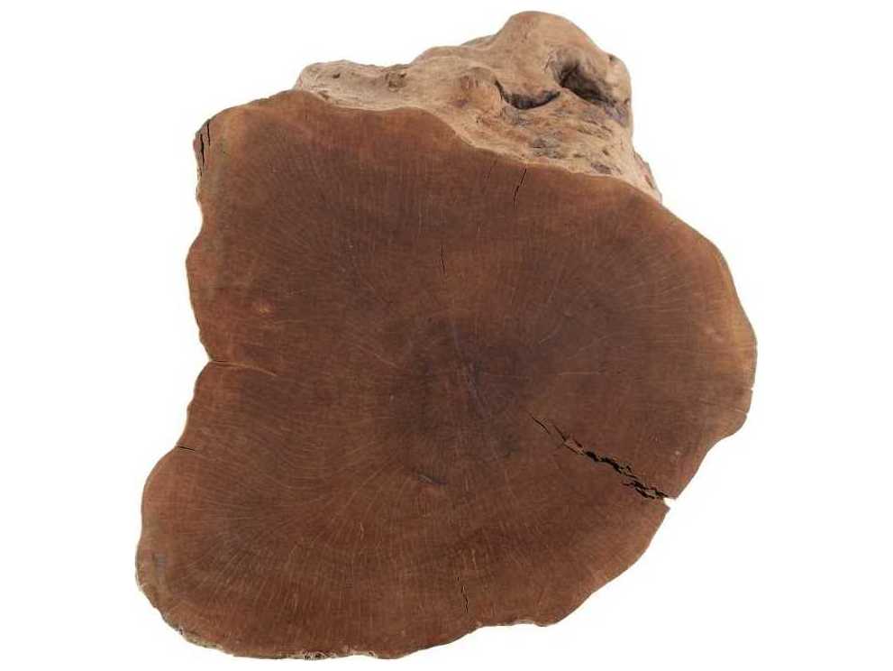 Phillips Collection Natural Brown Accent Stool