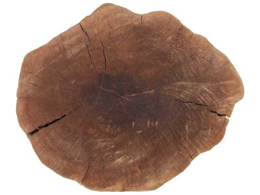 Phillips Collection Natural Brown Accent Stool