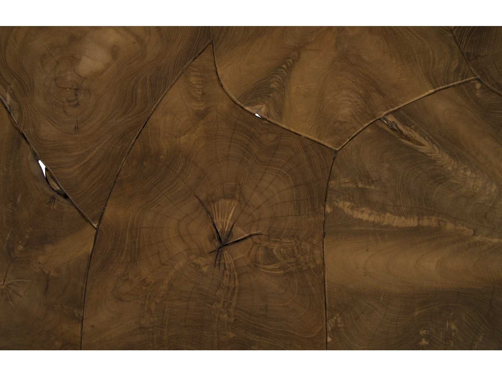 Phillips Collection Rectangular Wood Natural Brown Coffee Table