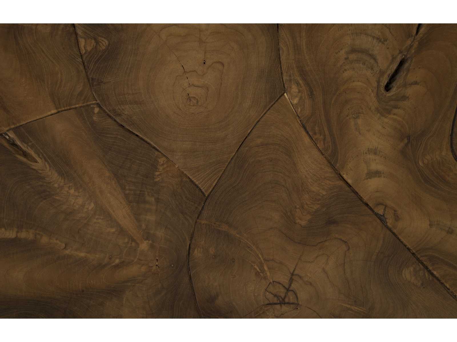 Phillips Collection Rectangular Wood Natural Brown Coffee Table