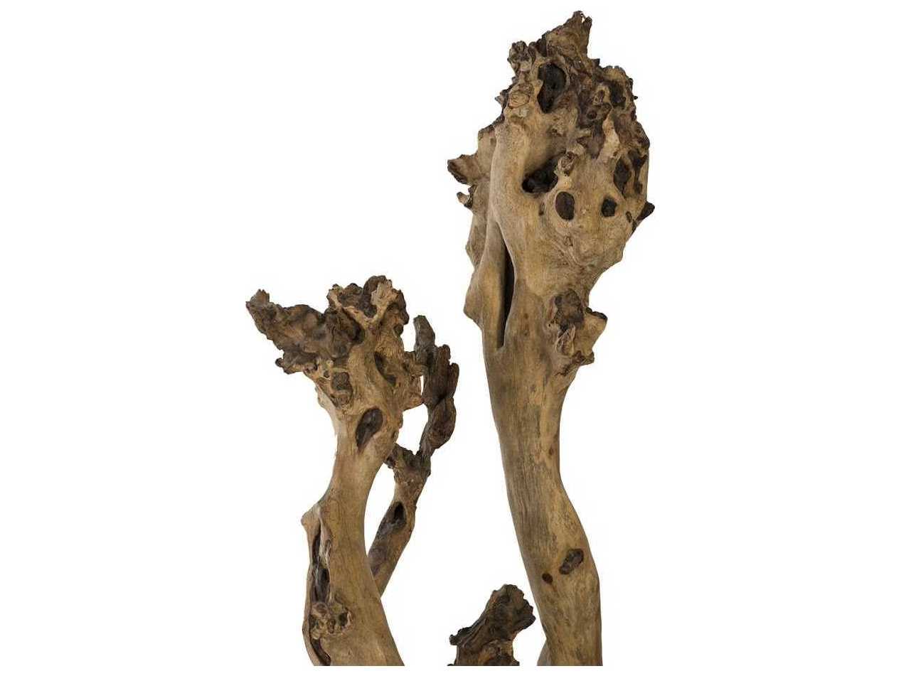 Phillips Collection Natural Sculpture