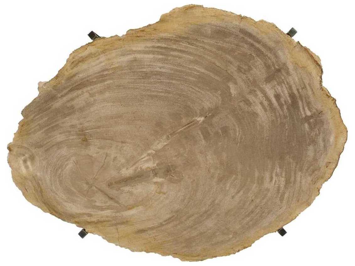 Phillips Collection Petrified Brown / Silver Decorative Plate