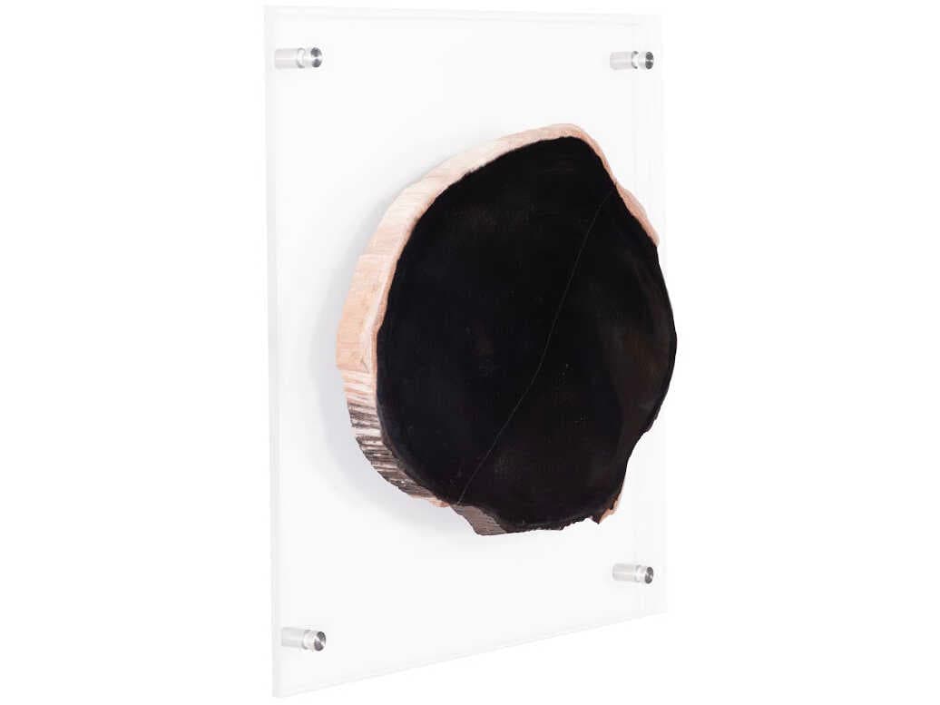 Phillips Collection Black / Beige Floating Petrified Slice Wall Art
