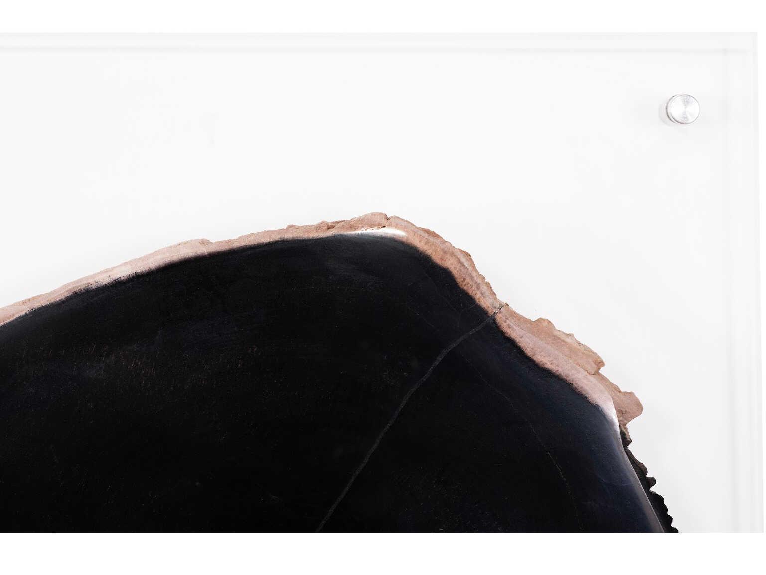 Phillips Collection Black / Beige Floating Petrified Slice Wall Art