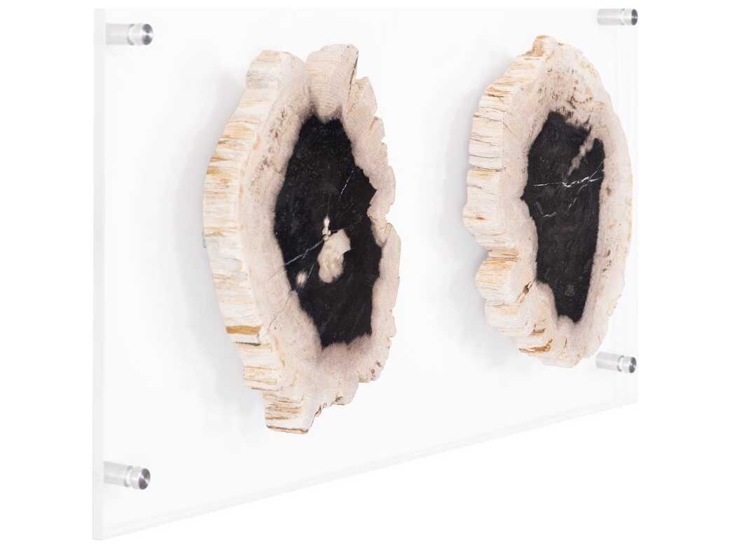 Phillips Collection Black / Beige Floating Petrified Double Slice Wall Art