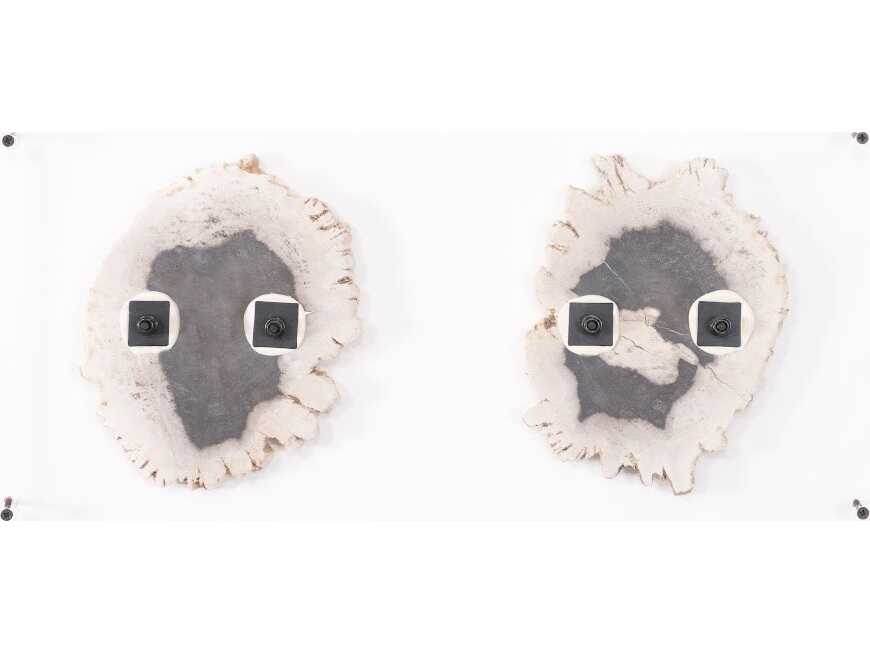 Phillips Collection Black / Beige Floating Petrified Double Slice Wall Art