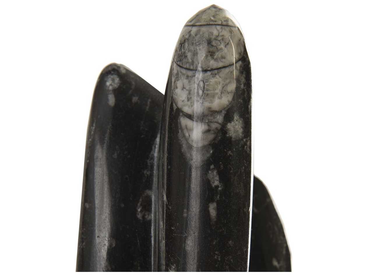 Phillips Collection Black Grey White Sculpture