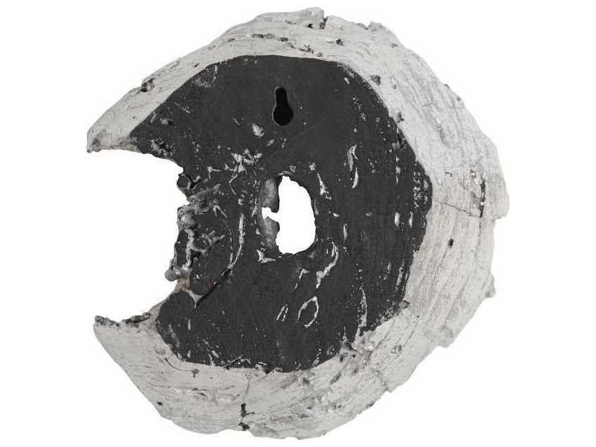 Phillips Collection Cast Eroded Wood Circle 3D Wall Art