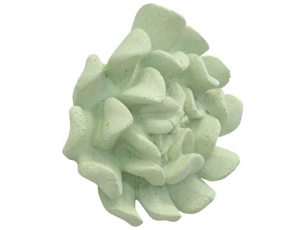 Phillips Collection Topsy Turvy Succulent Jade 3D Wall Art