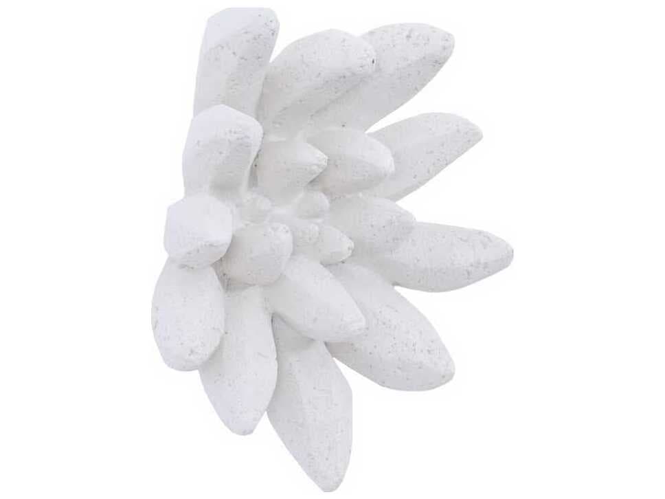 Phillips Collection Compactum Succulent White Stone 3D Wall Art