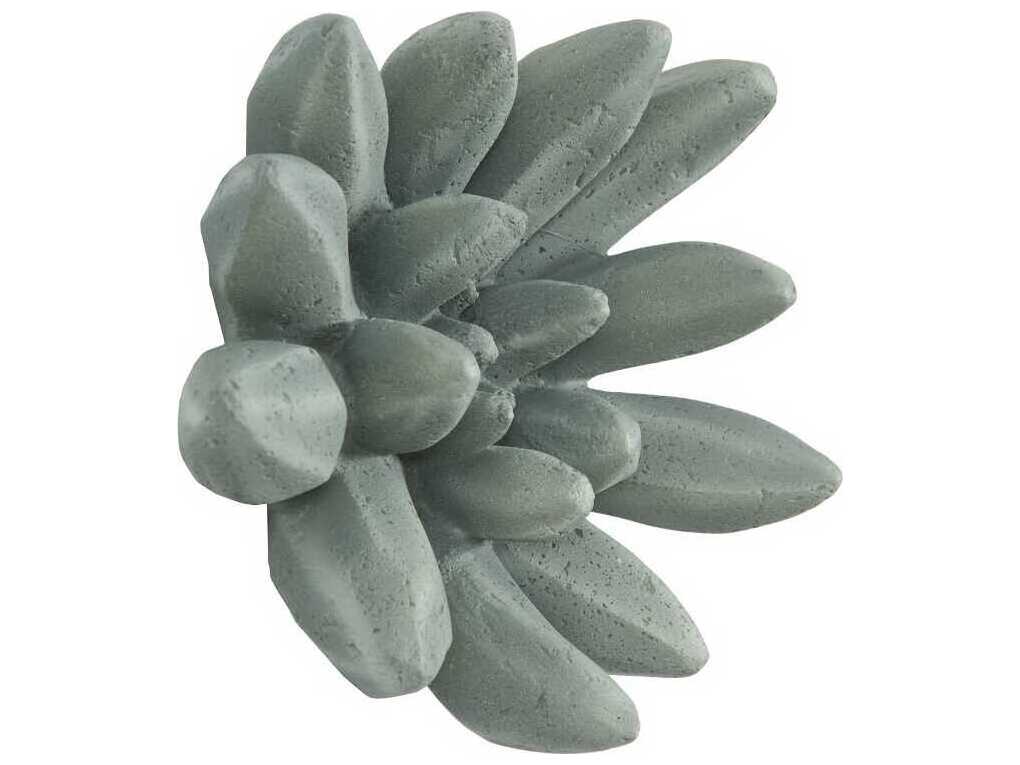 Phillips Collection Compactum Succulent Forest 3D Wall Art