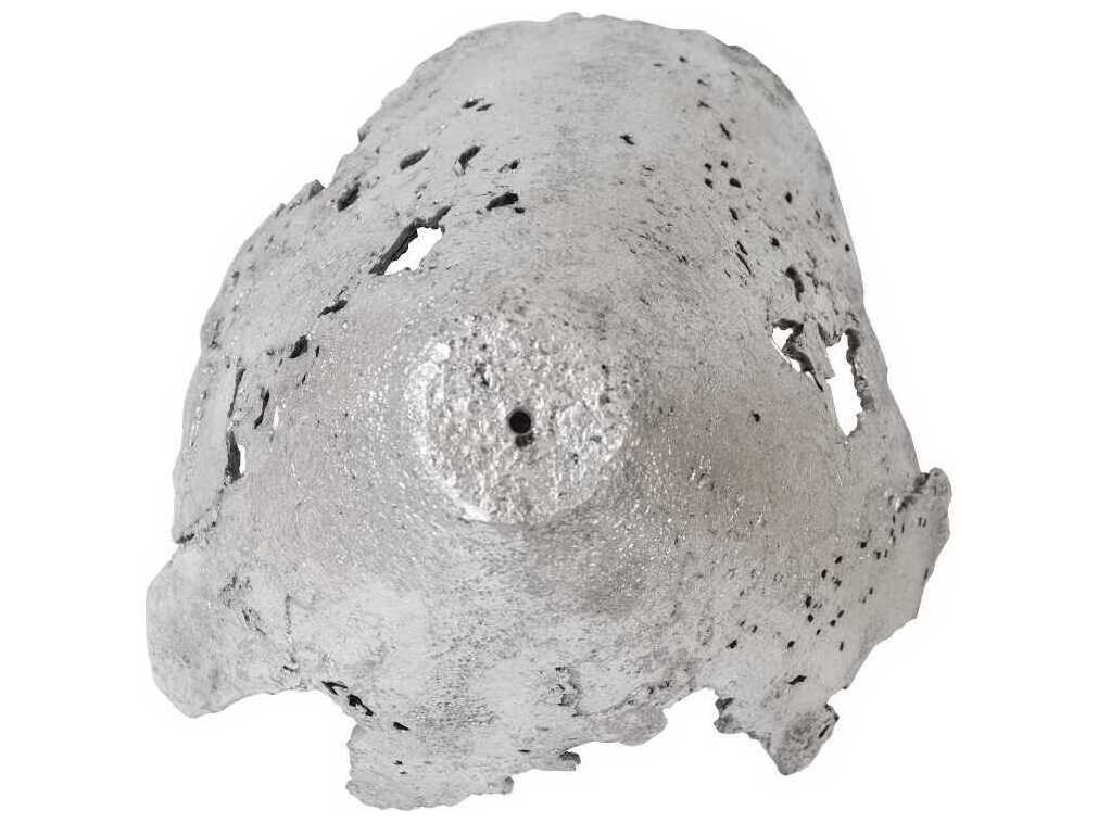 Phillips Collection Semi-Perforated Splash Bowl Silver Leaf 3D Wall Art