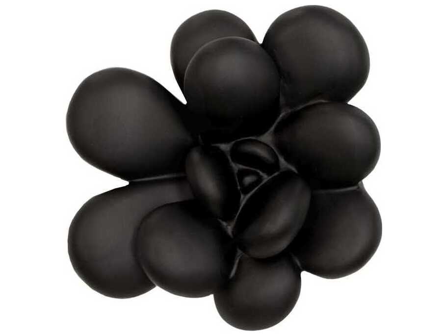 Phillips Collection Botanical Designs Oviferum Succulent Wall Art