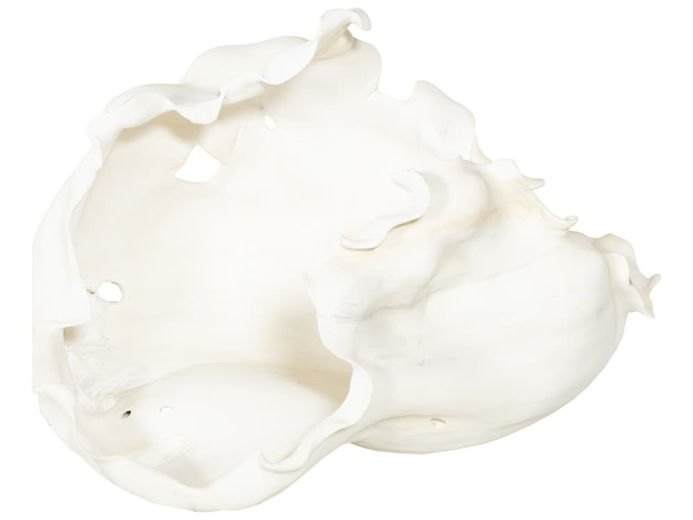 Phillips Collection Cast Root Bowl in Open