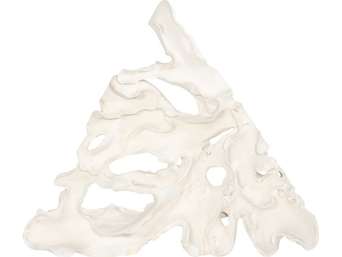 Phillips Collection Contour Cast Root 3D Wall Art