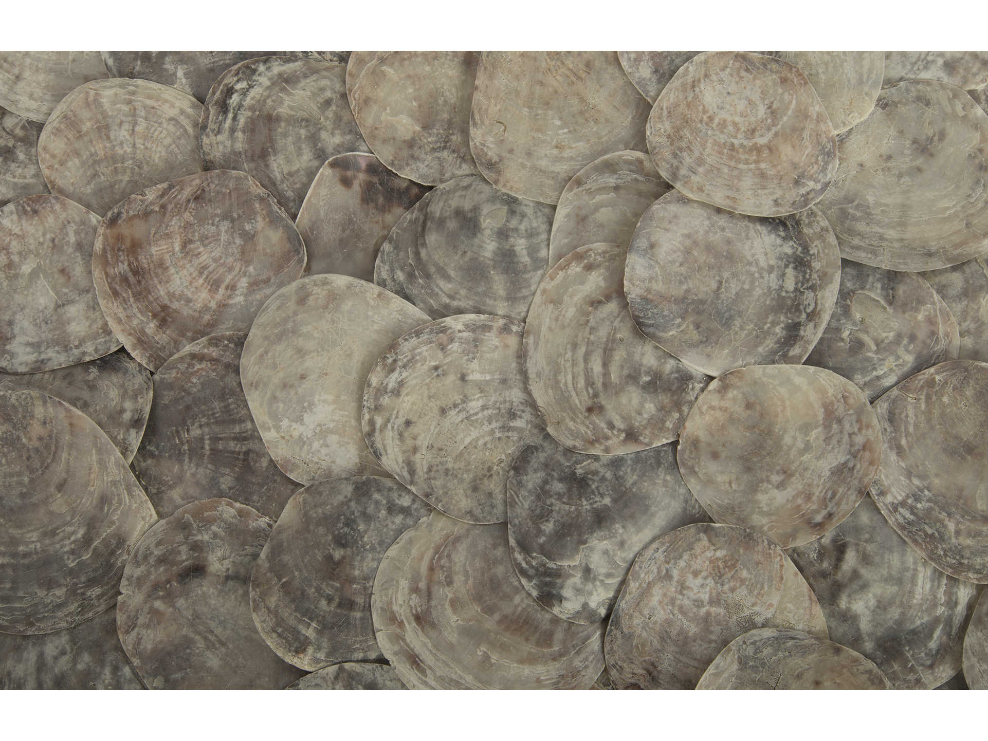 Phillips Collection Shell Square Capiz Natural Coffee Table