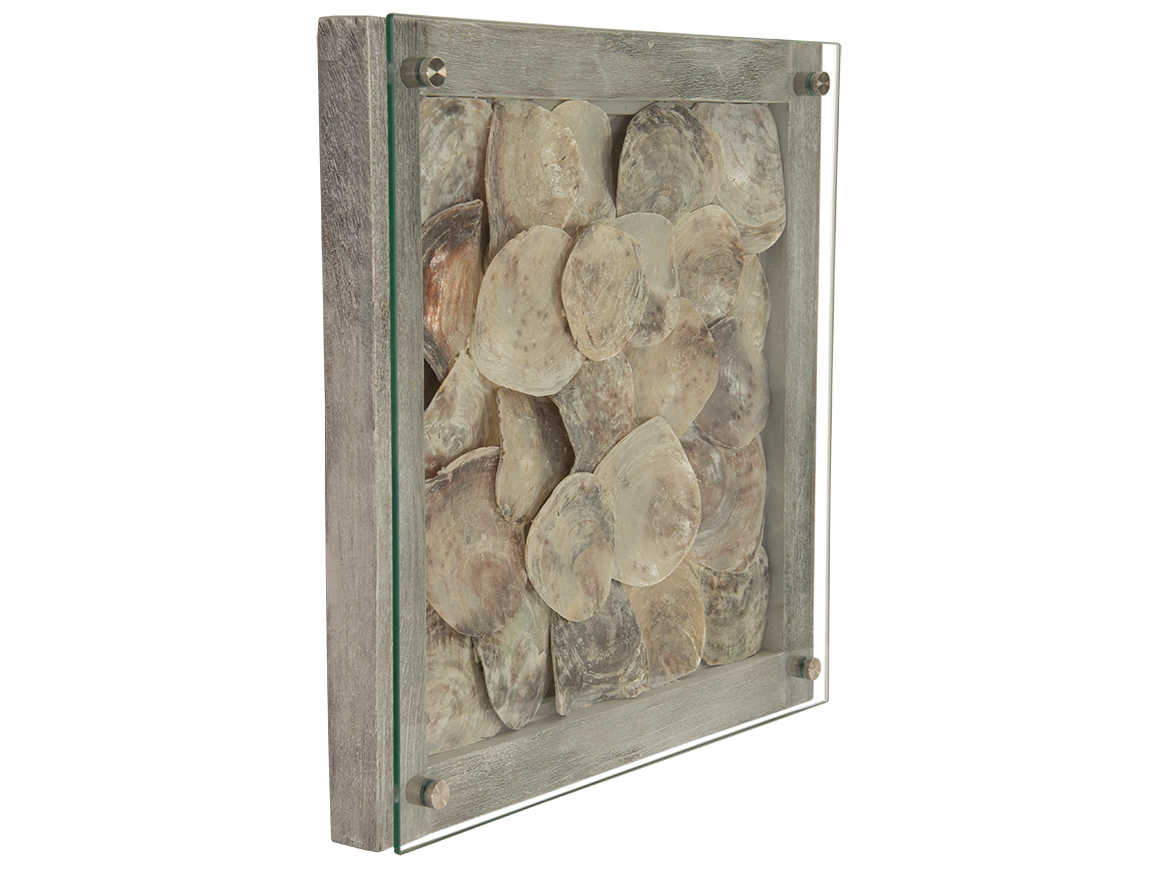 Phillips Collection Shell Shadow boxes