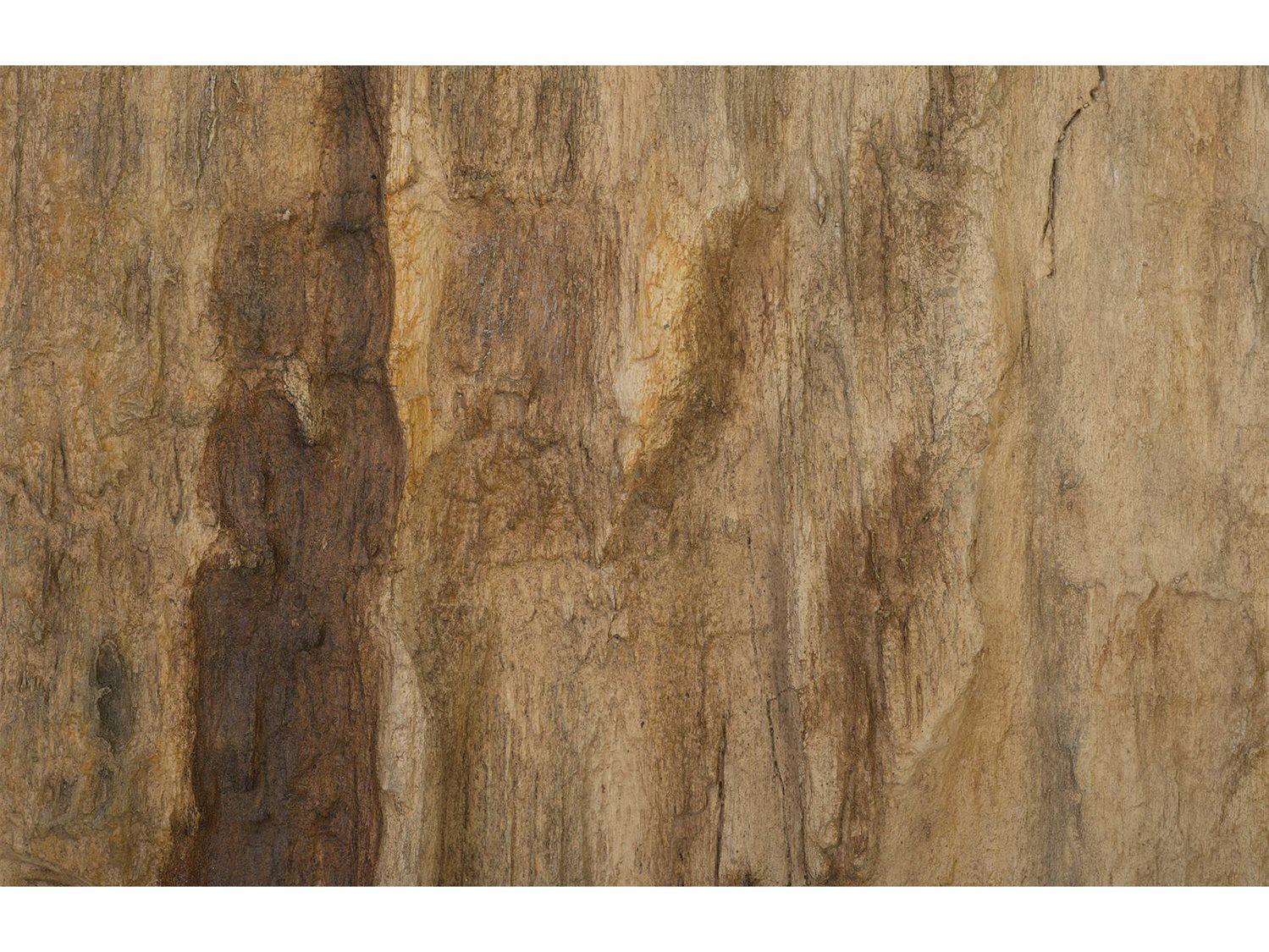 Phillips Collection Wood Wall Art