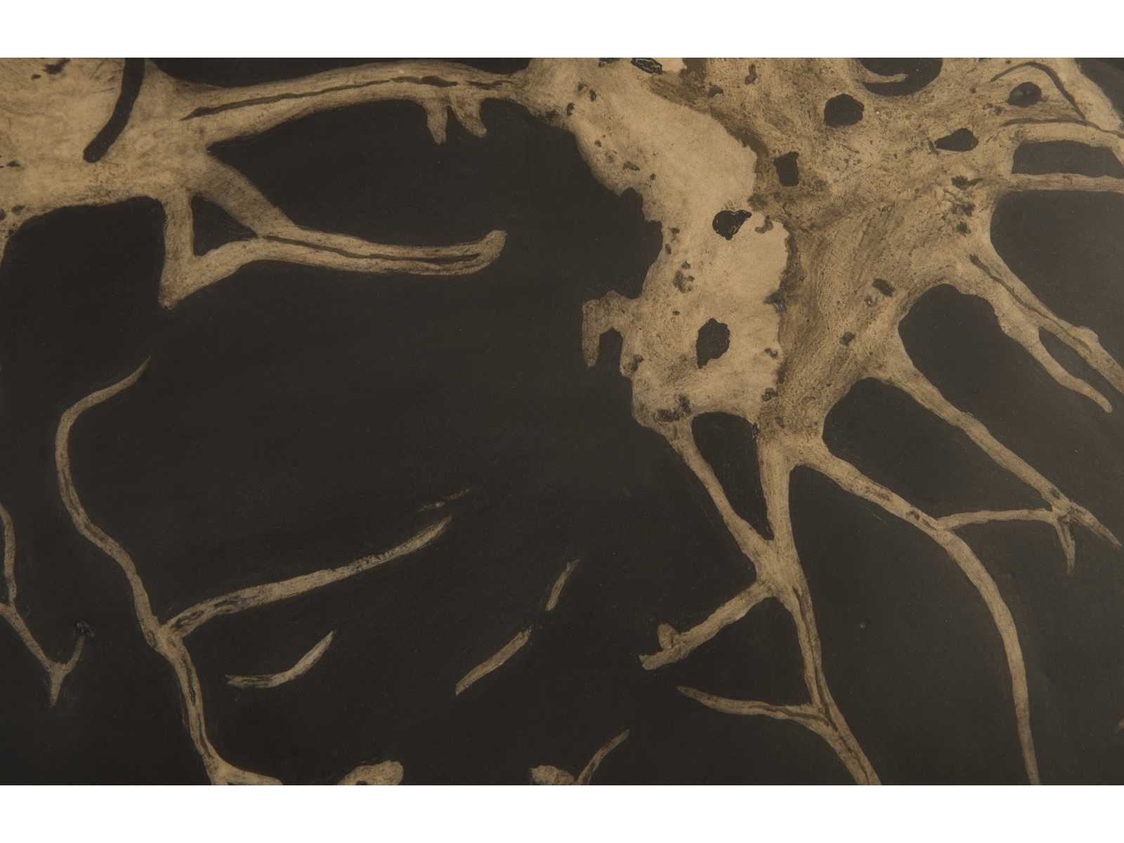 Phillips Collection Grey / Brown Cast Petrified Wood Wall Tile