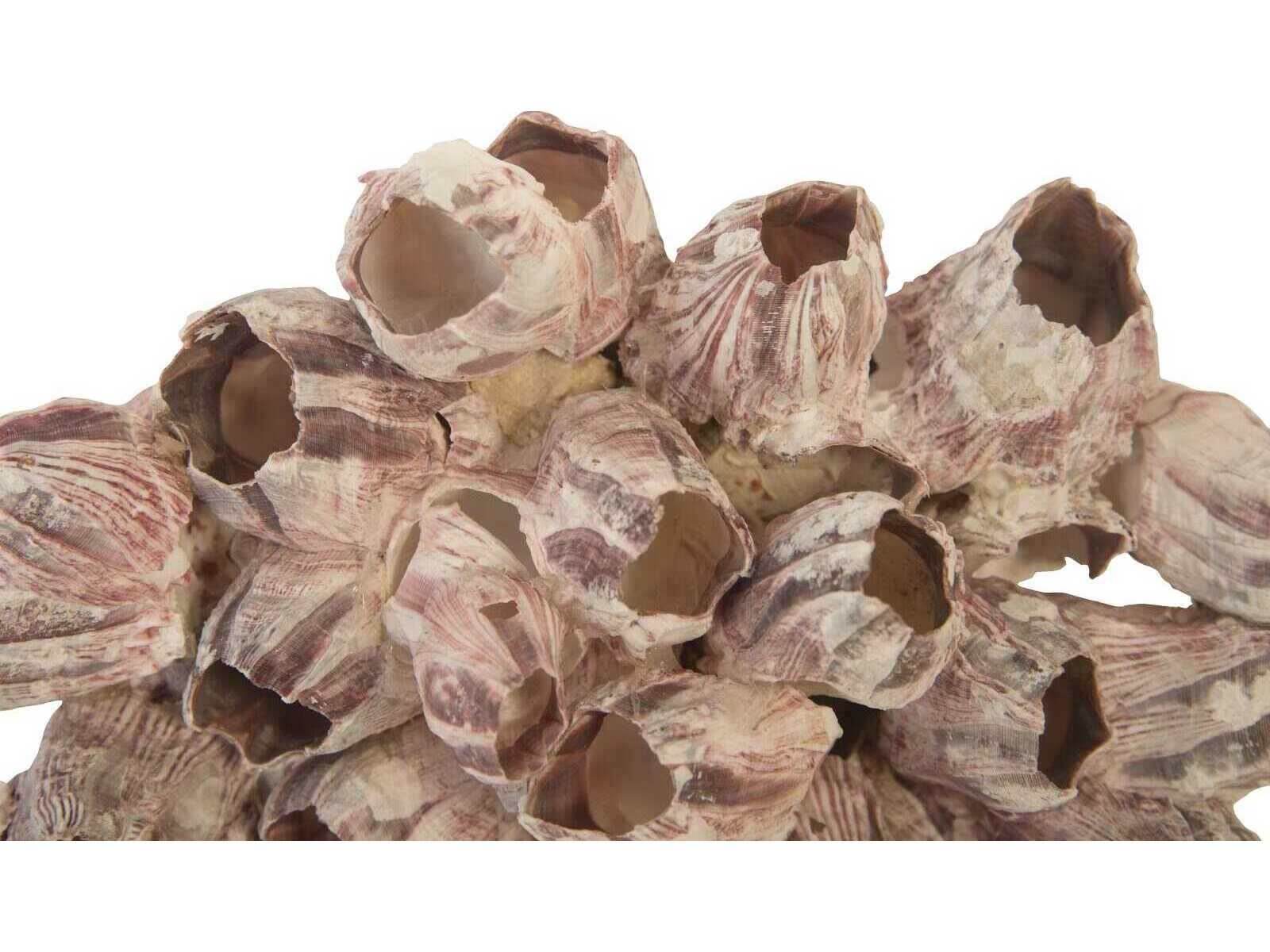 Phillips Collection Barnacle Cluster Large 3D Wall Art