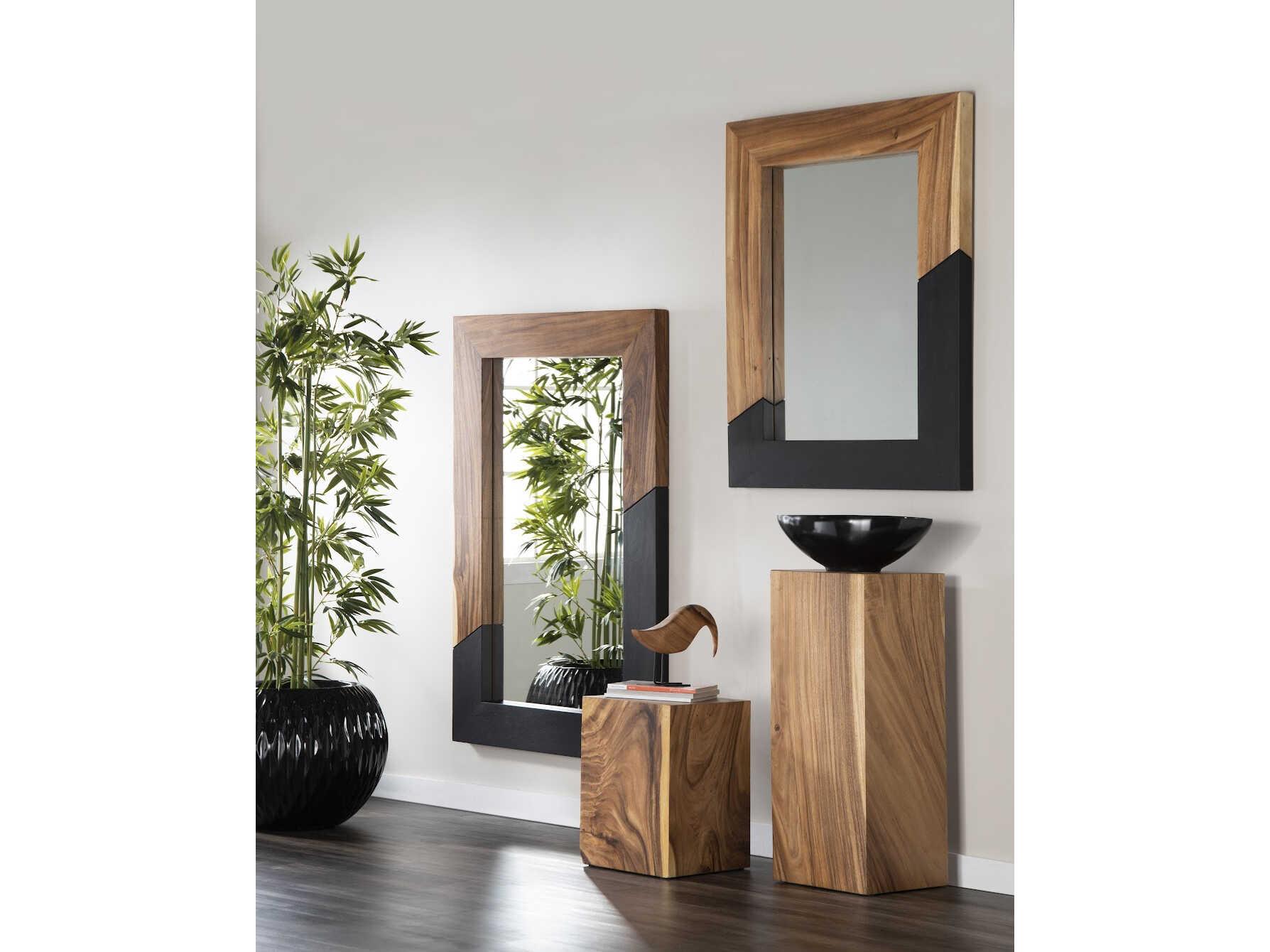 Phillips Collection Natural / Black Rectangular Wall Mirror