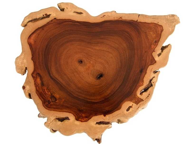 Phillips Collection Round Wood Natural Brown Black End Table