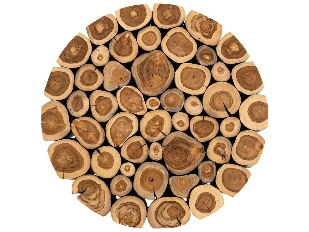 Phillips Collection Round Wood Natural Charred Coffee Table