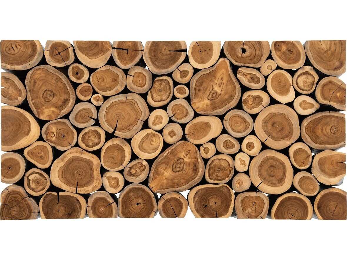 Phillips Collection Rectangular Wood Charred Natural Coffee Table