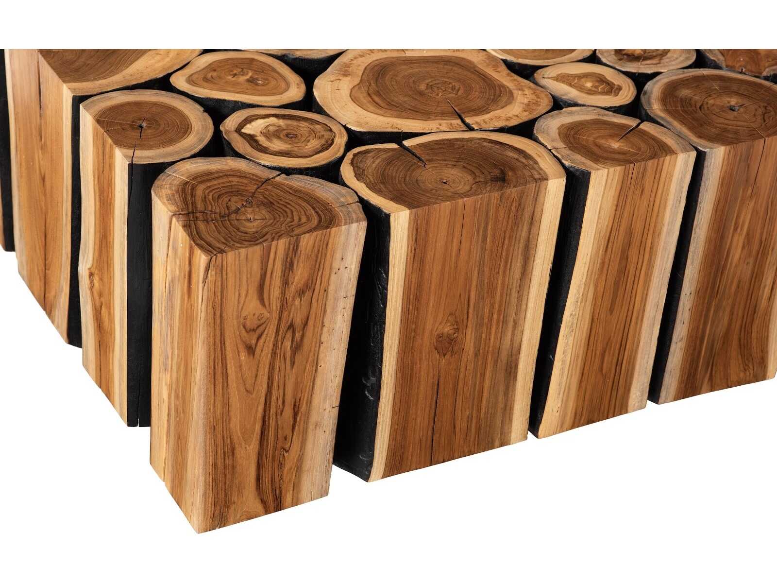 Phillips Collection Rectangular Wood Charred Natural Coffee Table