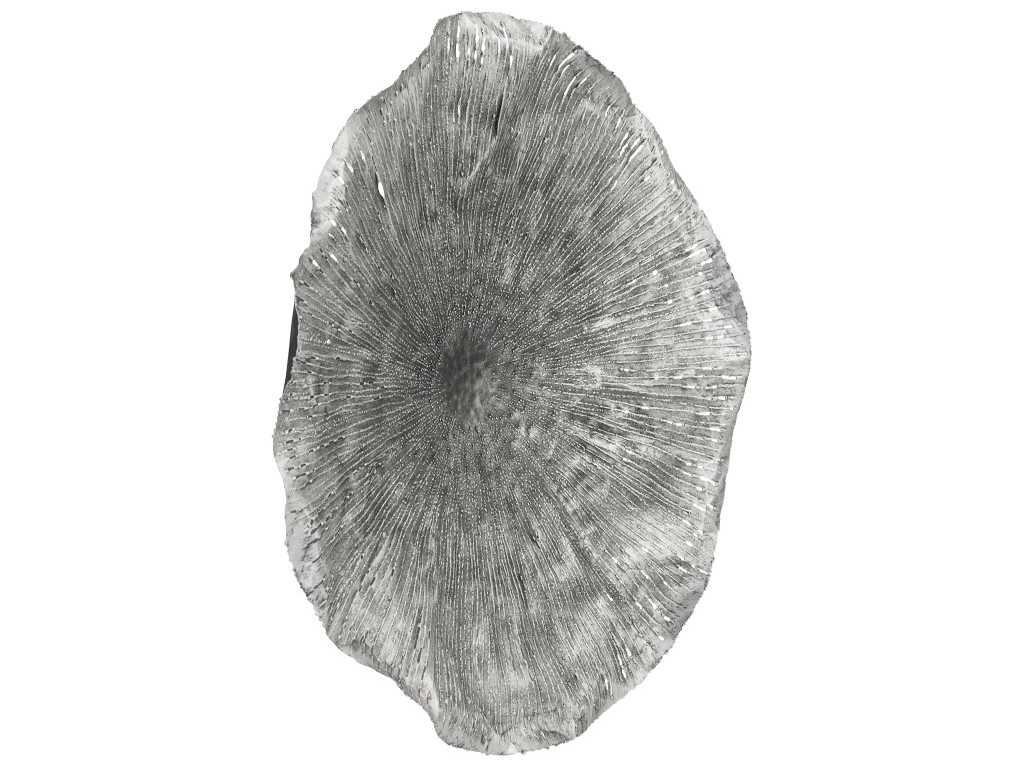 Phillips Collection Metal Wall Art