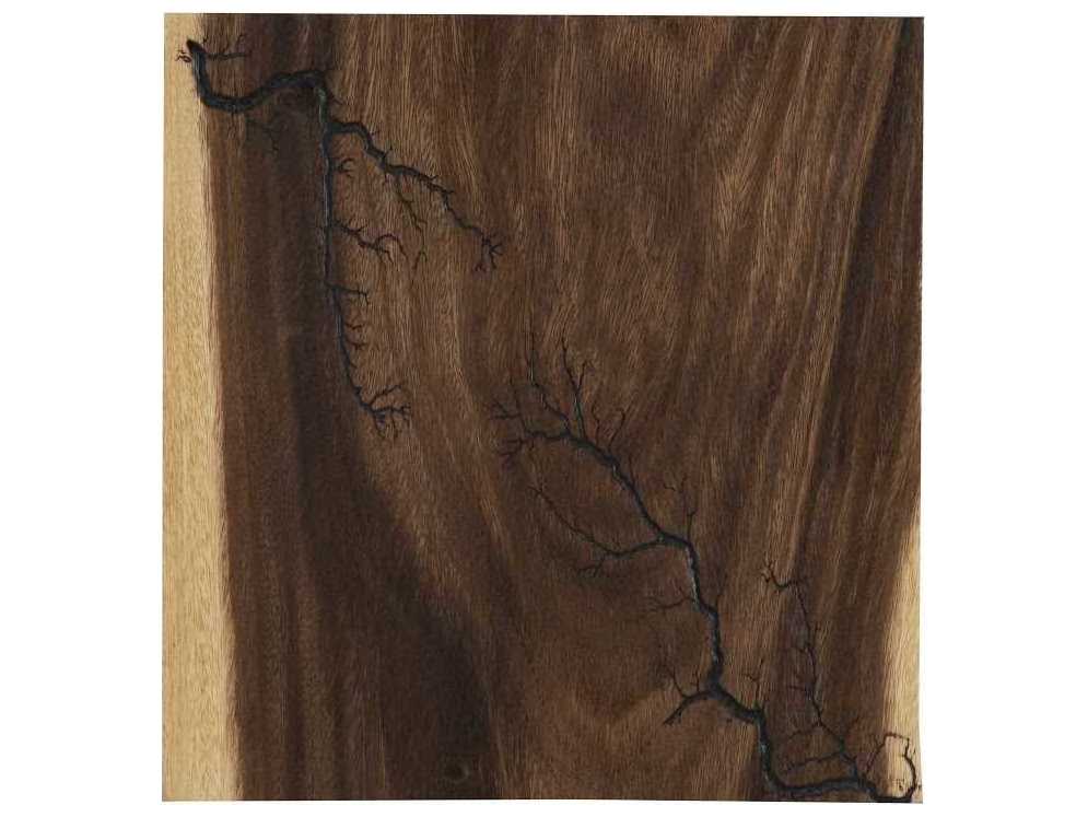 Phillips Collection Lightning Wood Wall Art