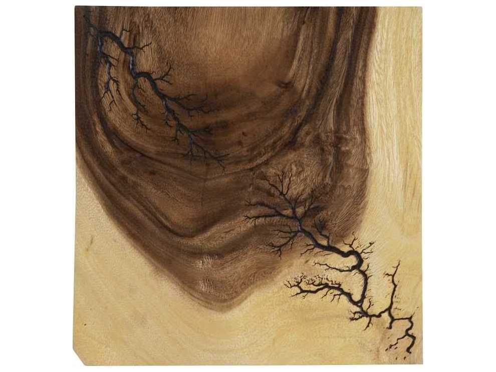 Phillips Collection Lightning Wood Wall Art