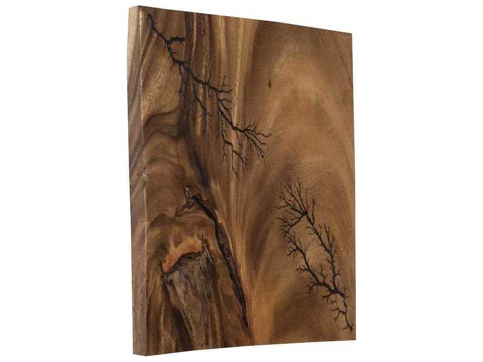 Phillips Collection Lightning Wood Wall Art