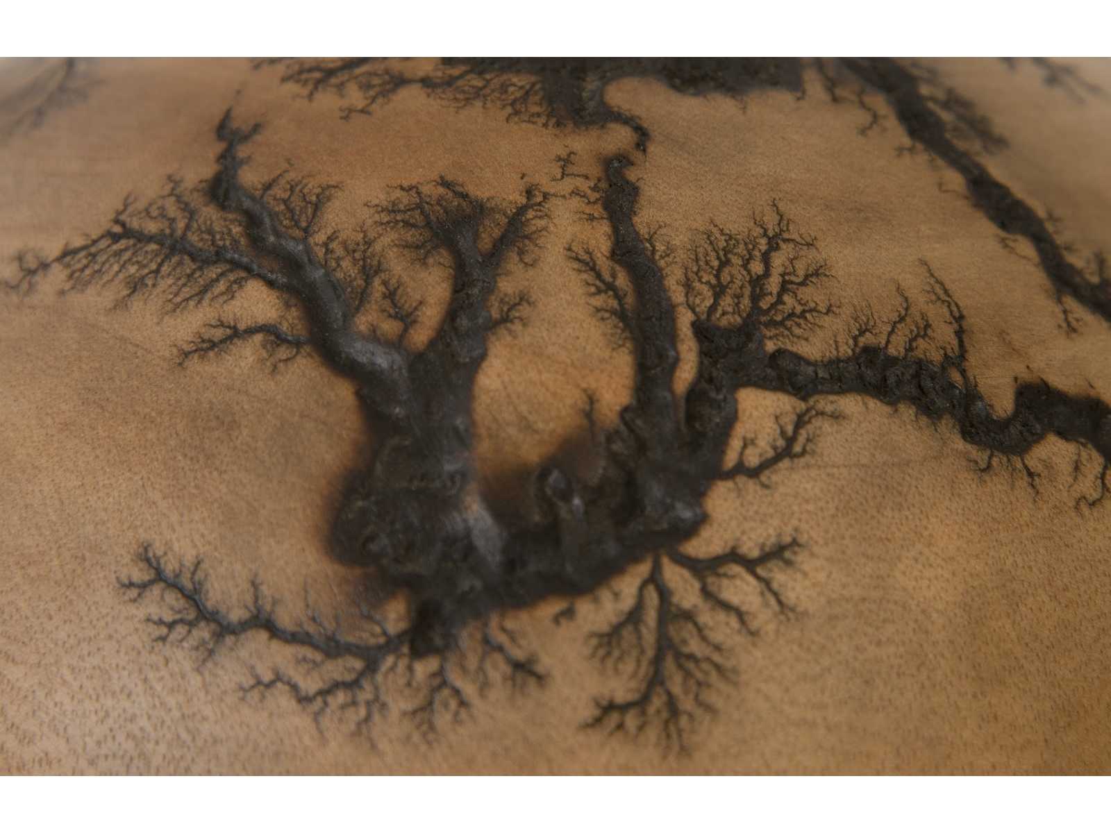 Phillips Collection Brown Vase