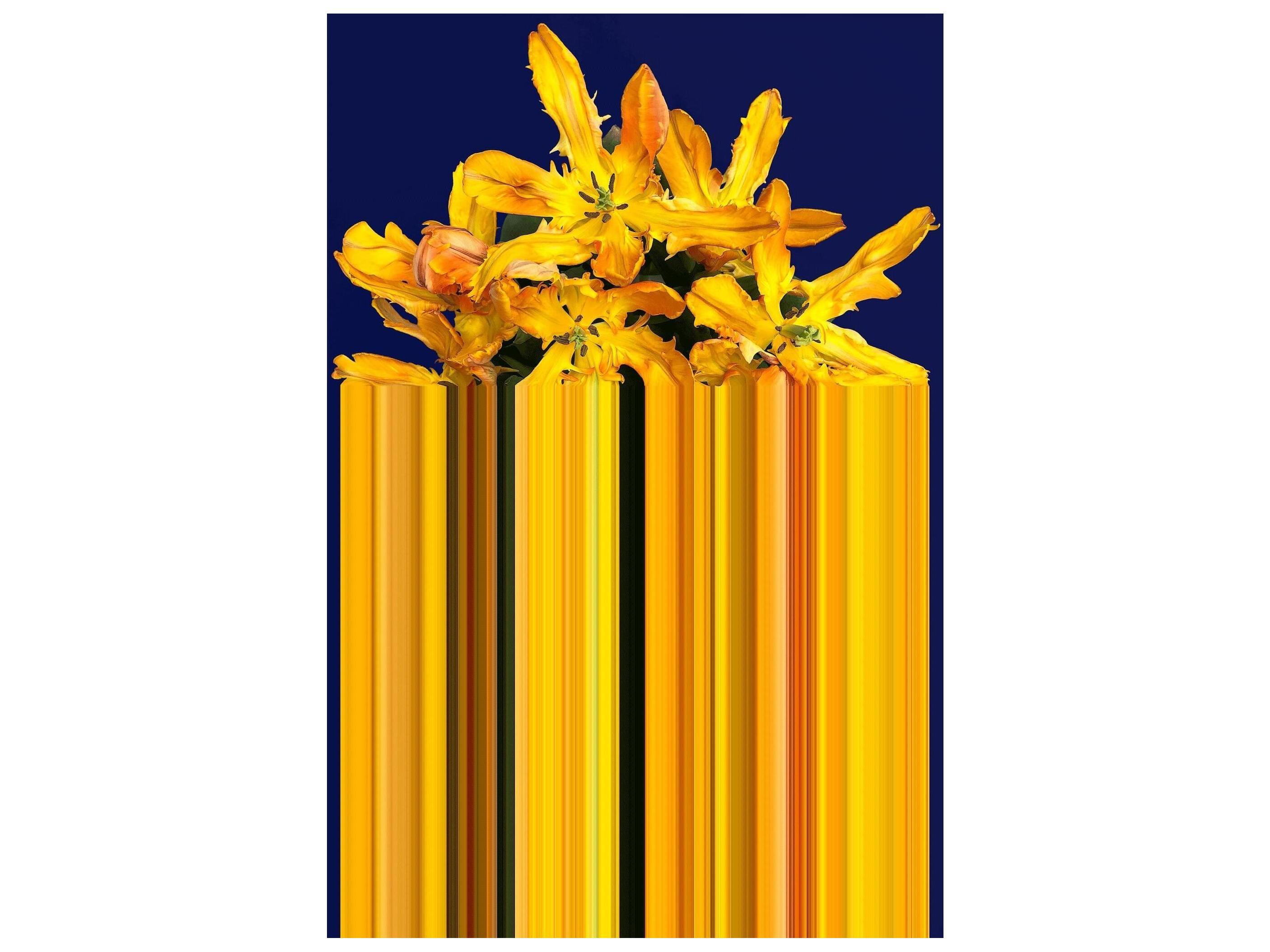 Qeeboo Glitch Abstract Area Rug