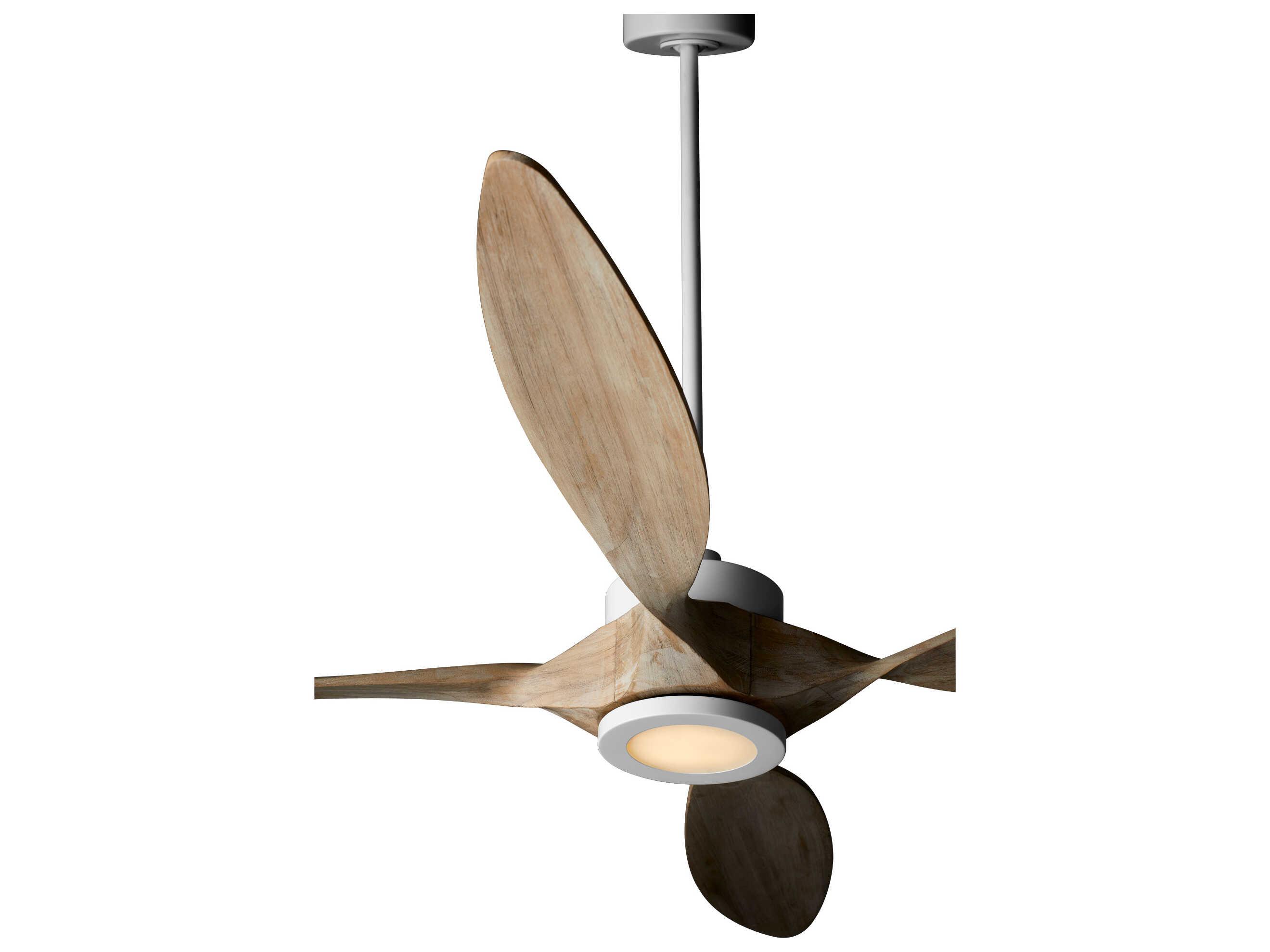 Quorum Papillon 66" Ceiling Fan