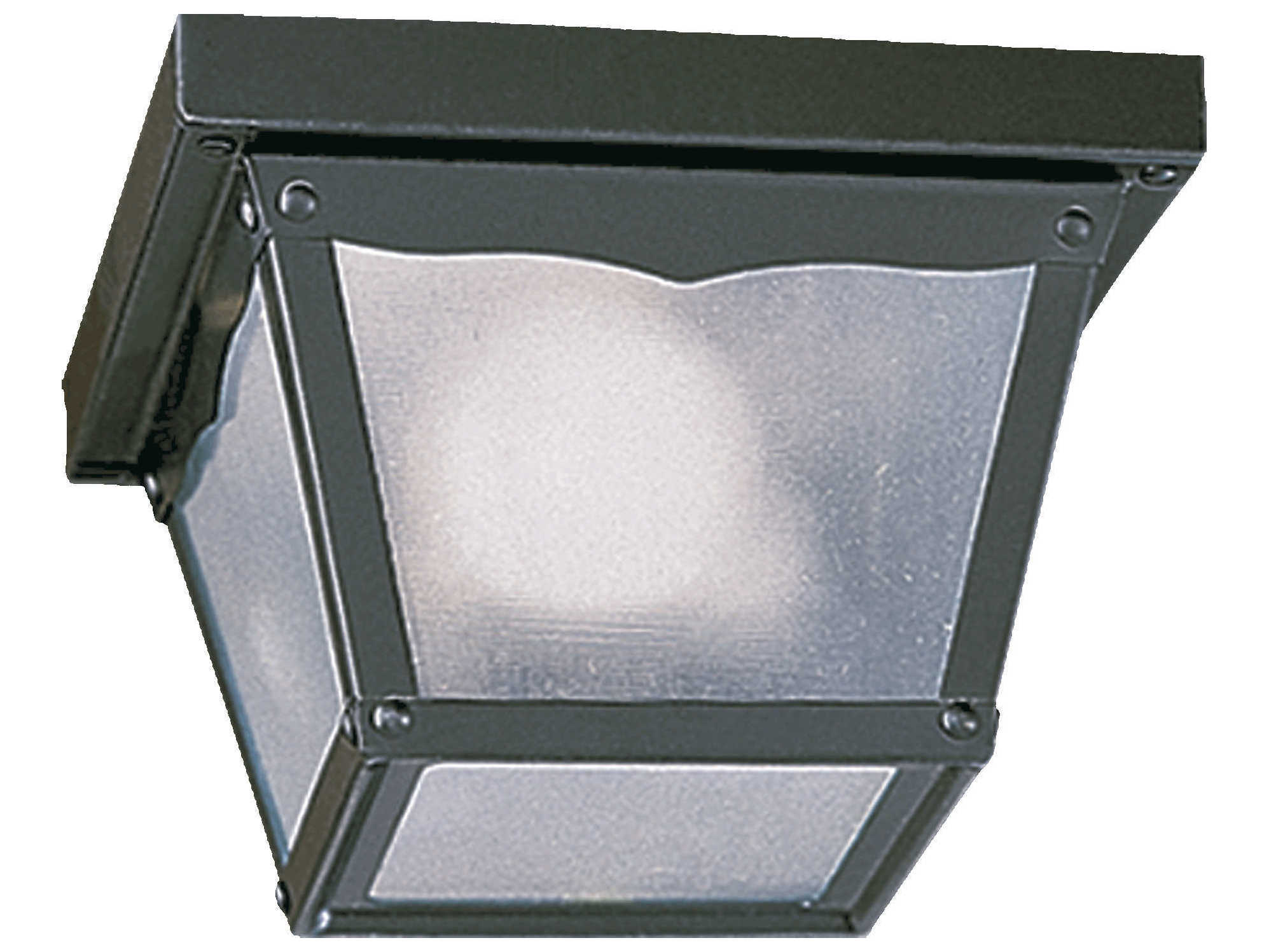Quorum Gloss Black 1-light Outdoor Ceiling Light