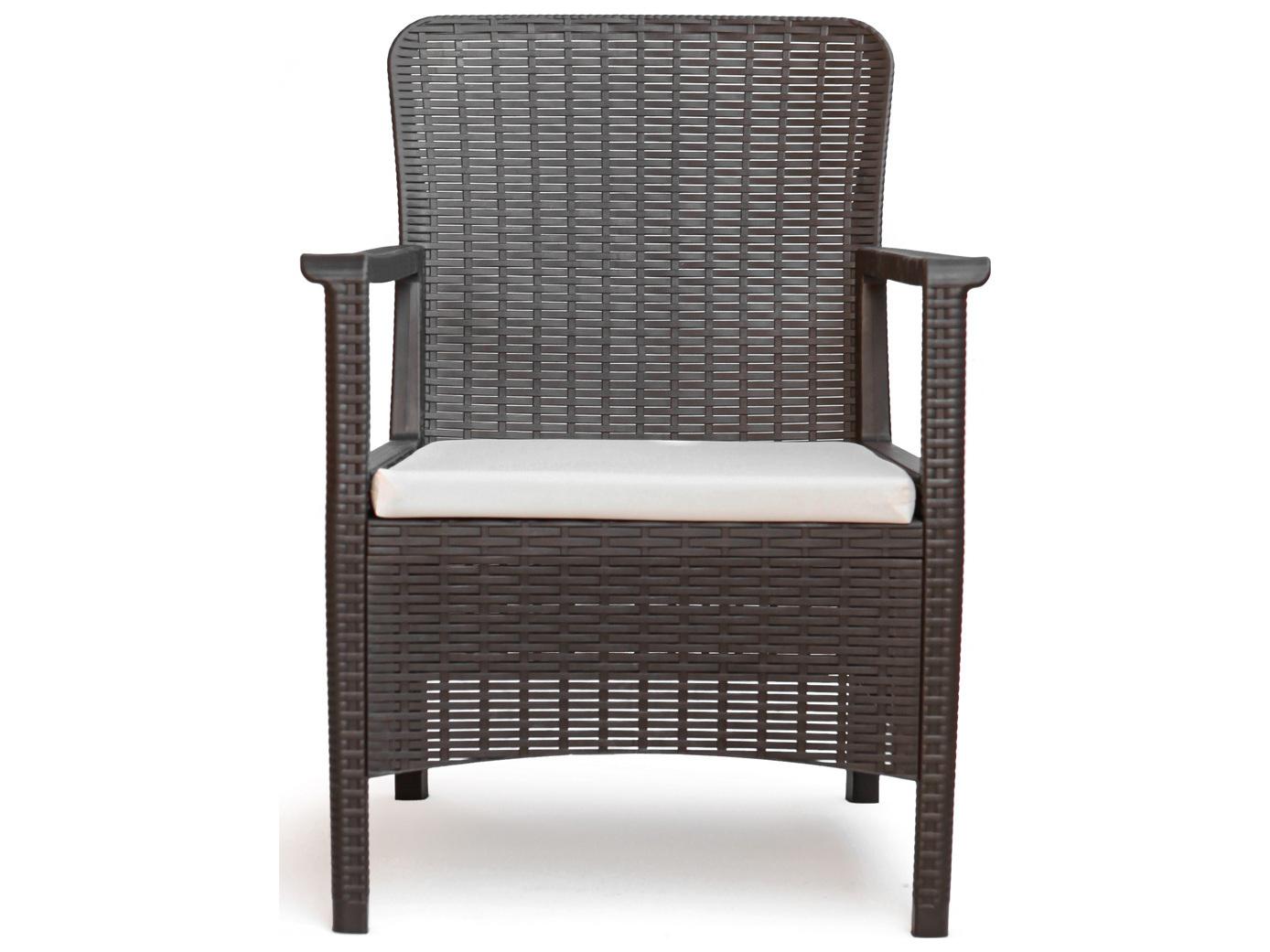 Rainbow Outdoor Napoli Resin Brown Dining Arm Chair with Cushion Set of 2