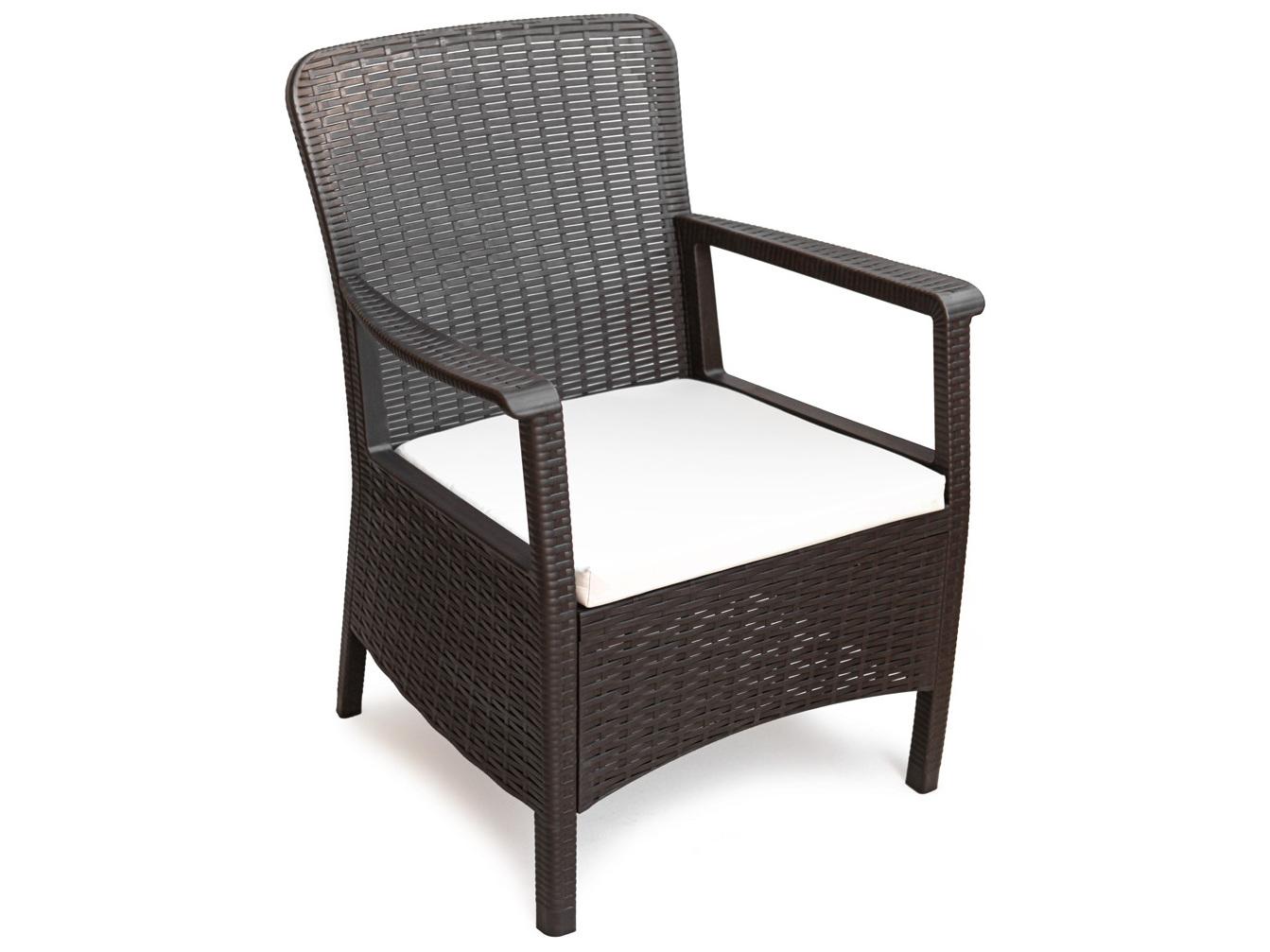 Rainbow Outdoor Napoli Resin Brown Dining Arm Chair with Cushion Set of 2