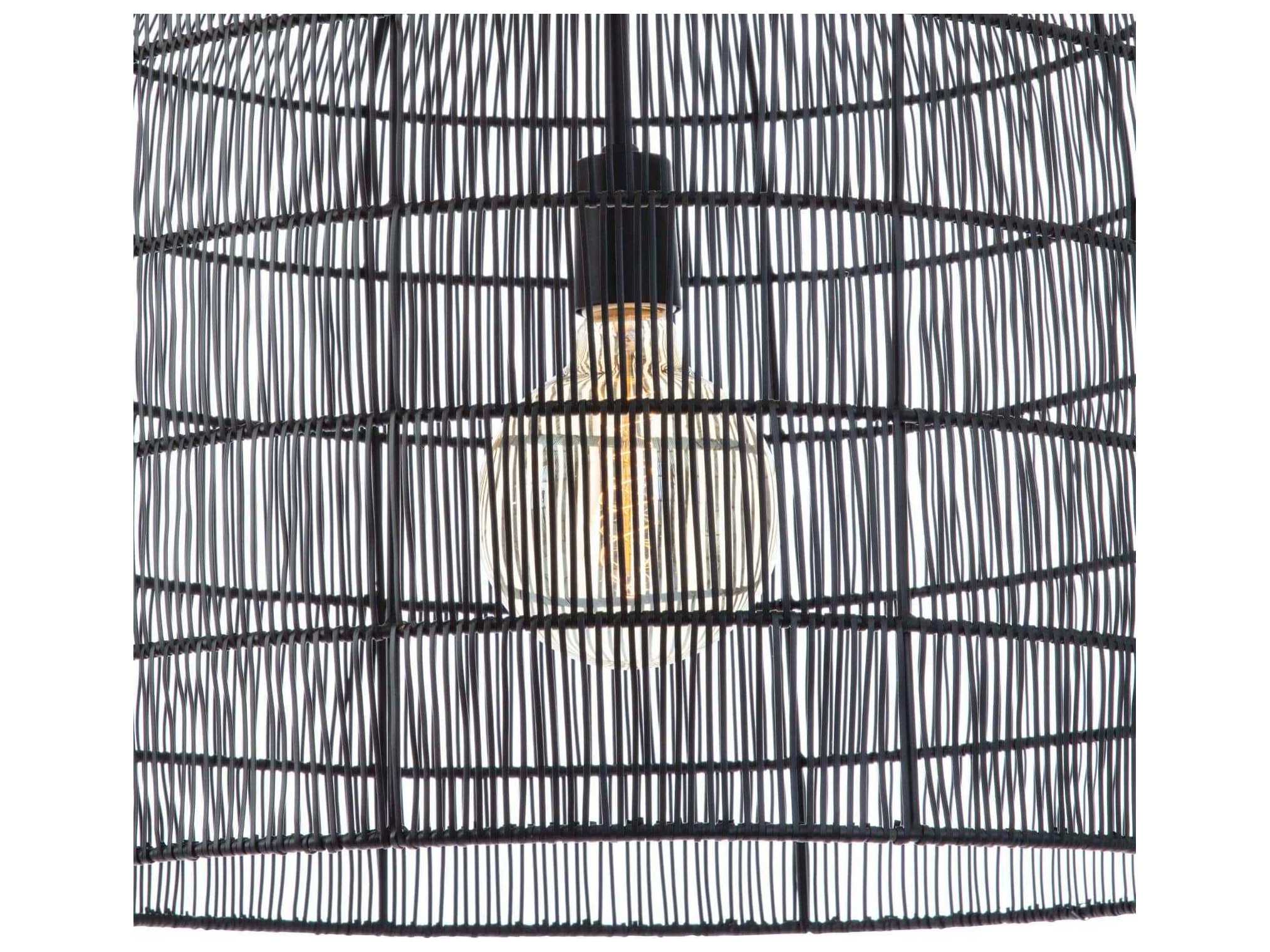 Regina Andrew 1-Light Black Pendant