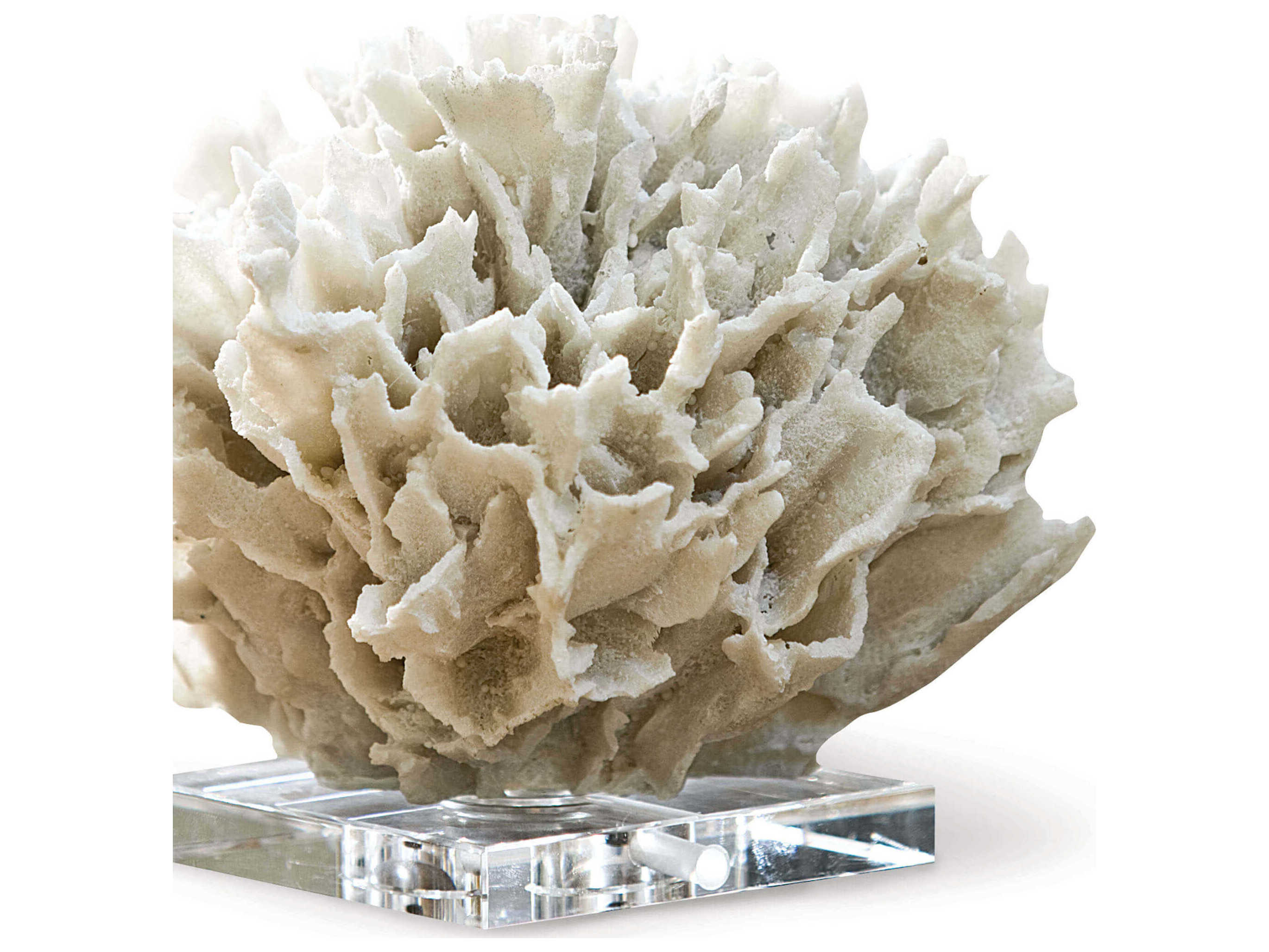 Regina Andrew White Ribbon Coral