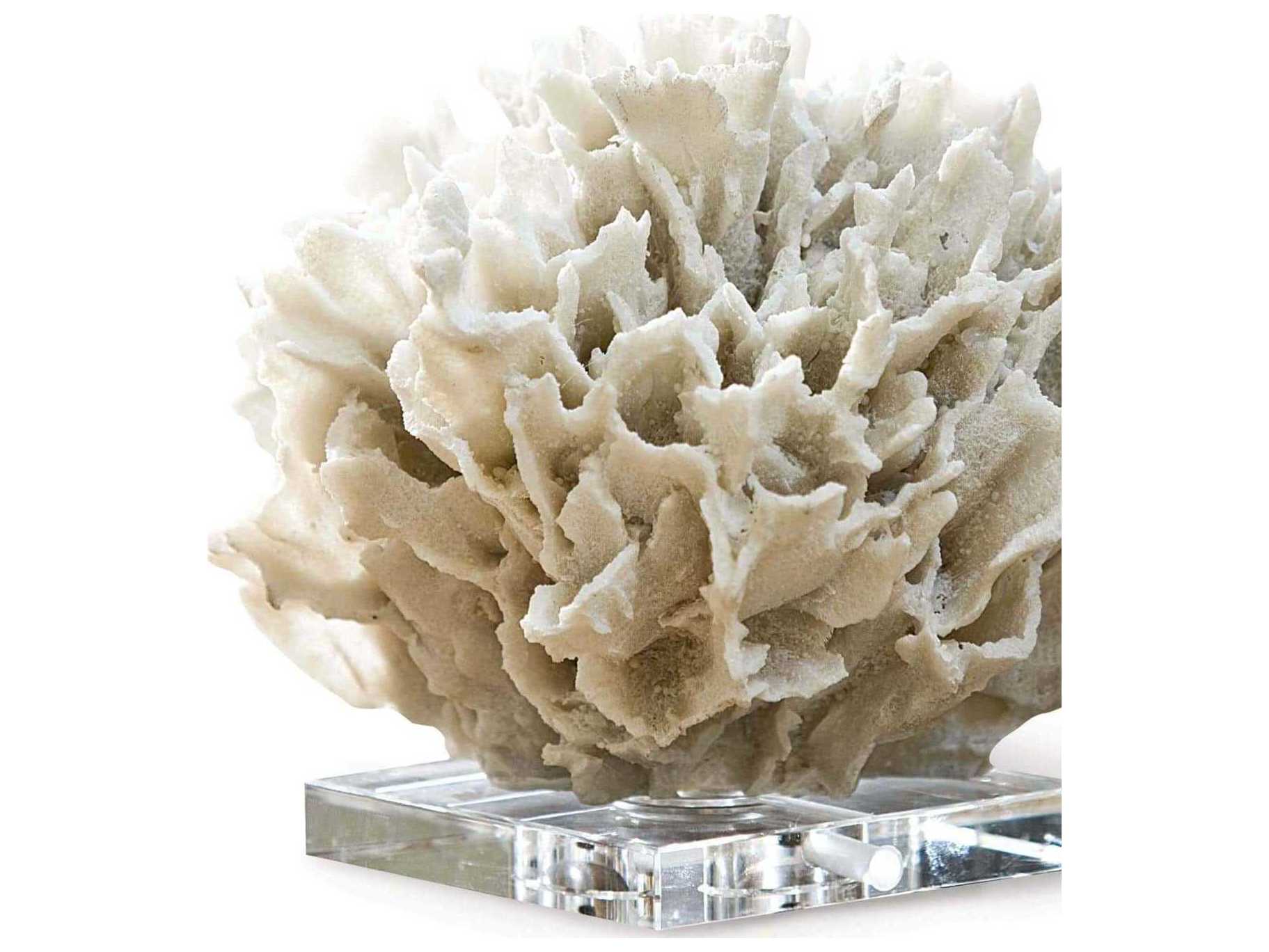 Regina Andrew White Ribbon Coral