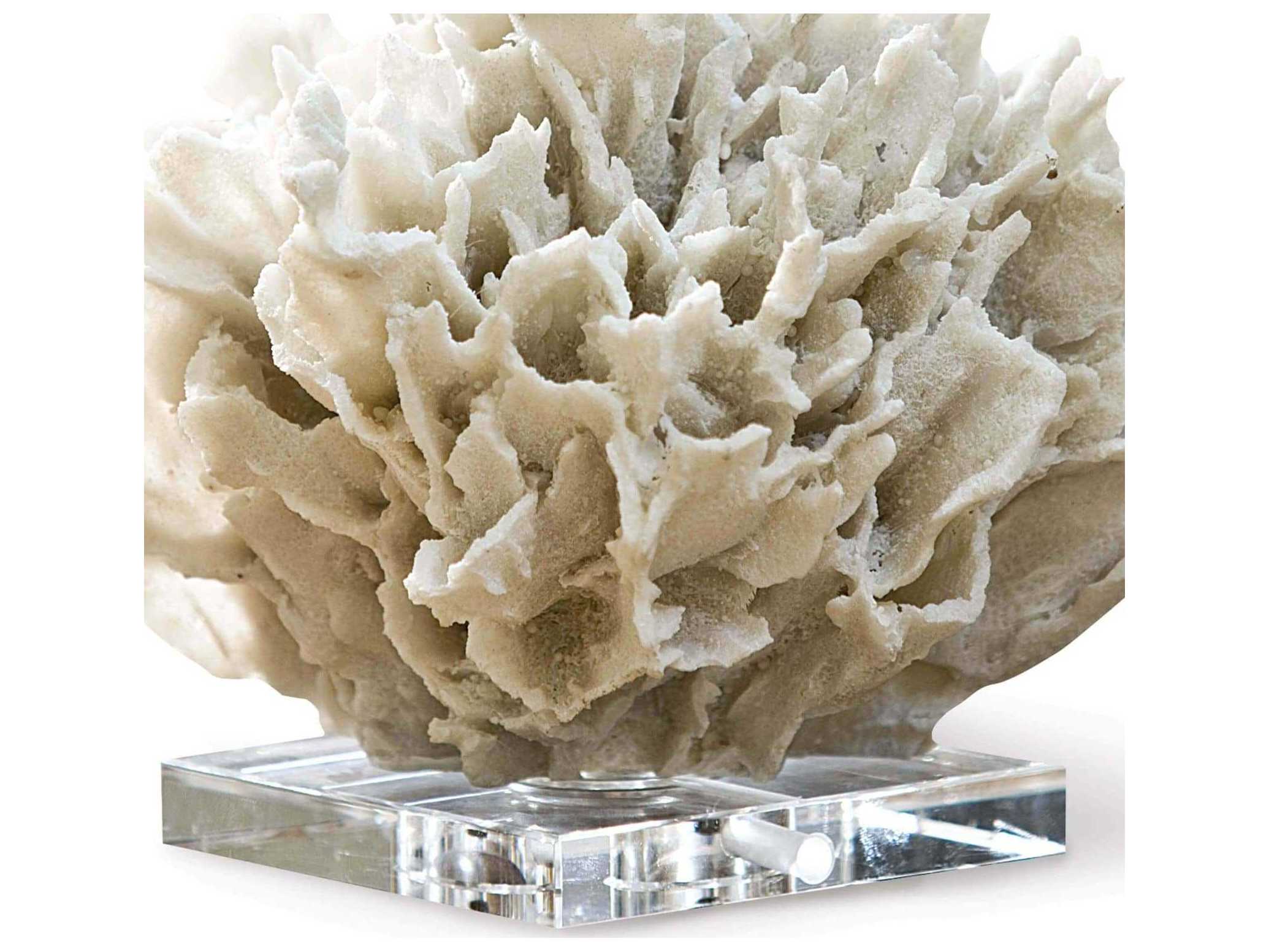 Regina Andrew White Ribbon Coral