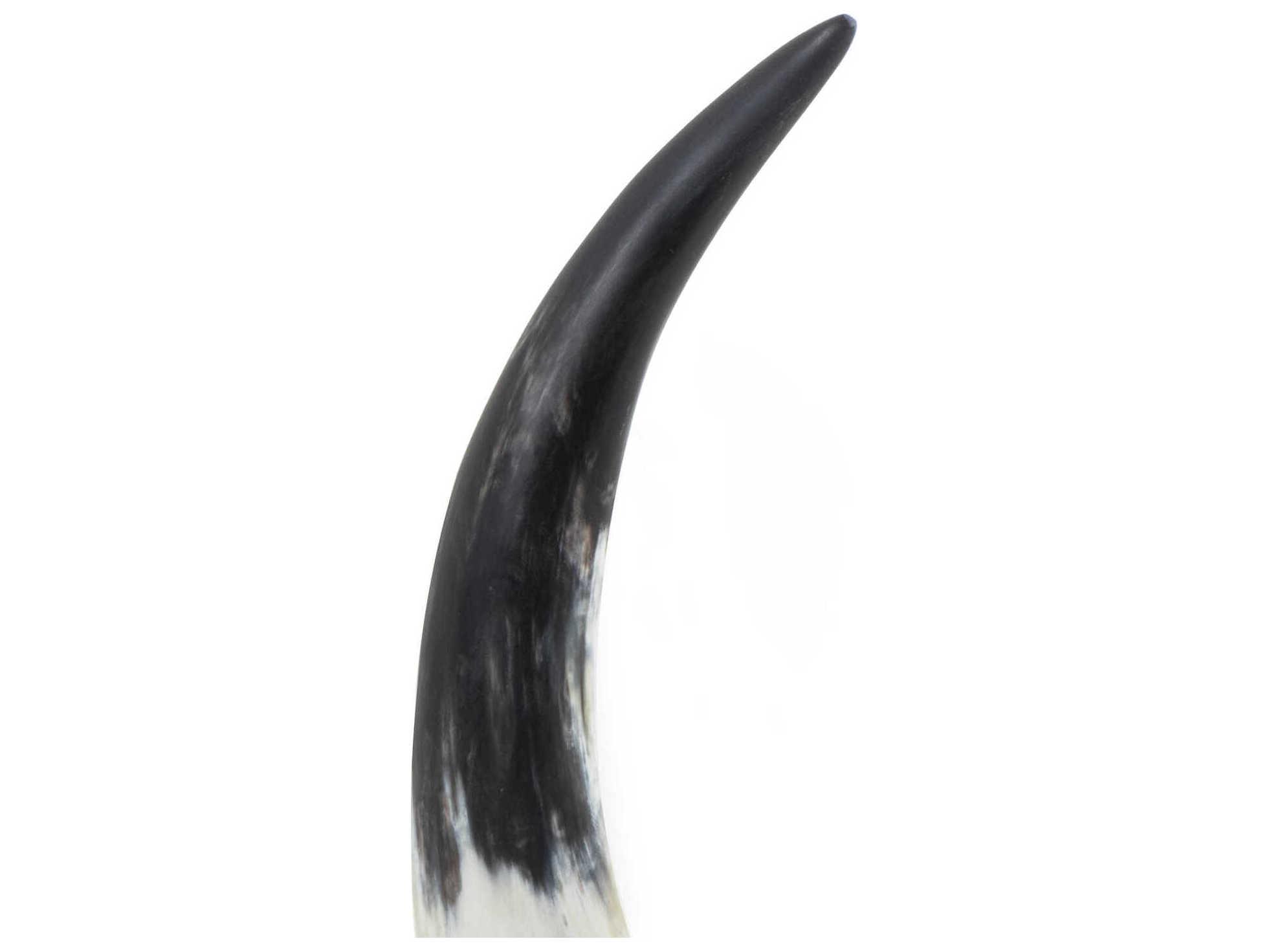 Regina Andrew Daylon Natural 15" High Horn