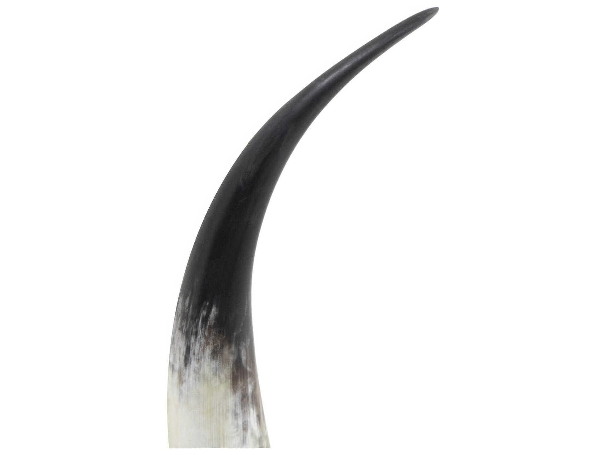 Regina Andrew Daylon Natural 20" High Horn