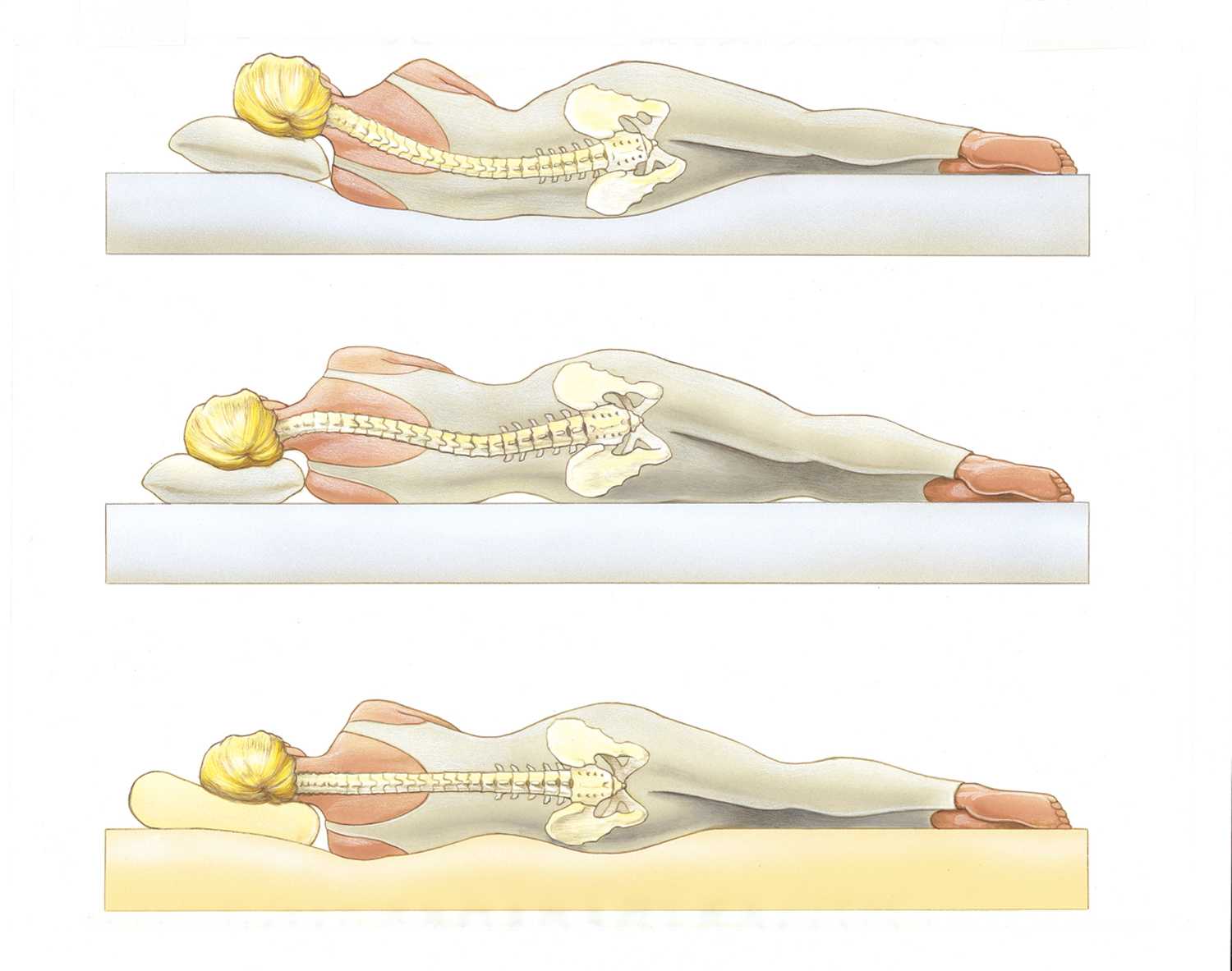 Royal-Pedic Classic Latex Quilt-Top (Quilted /7-Zone) Set