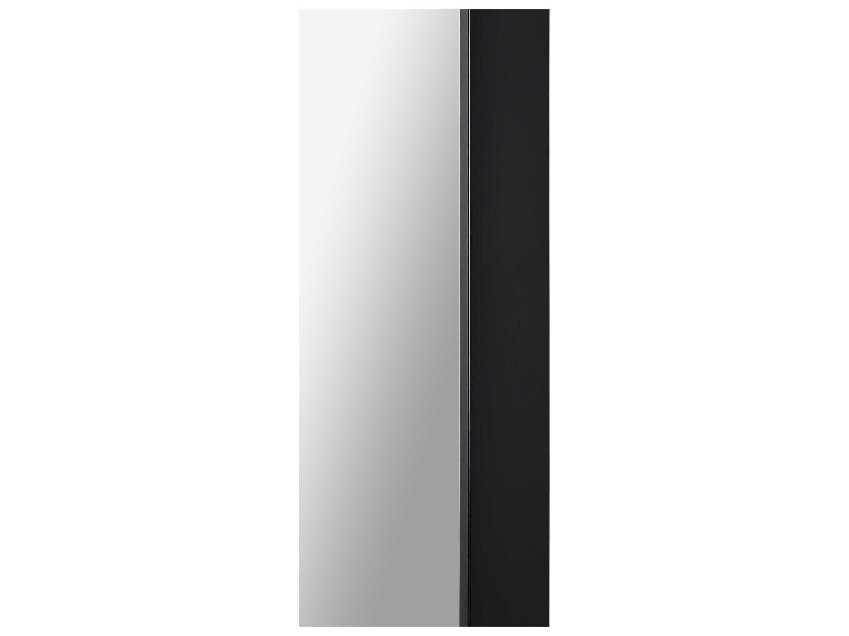 Renwil Delacorte Black Rectangular Wall Mirror